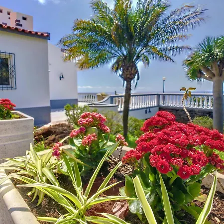 Avocado By Lovelystay * فونشال