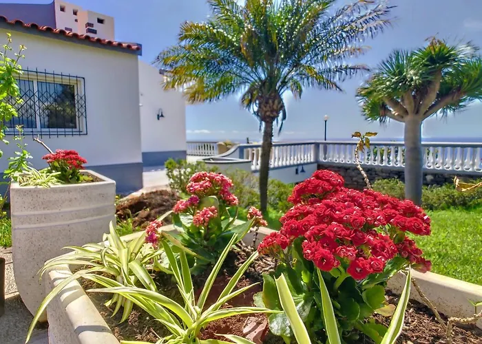 Avocado By Lovelystay * فونشال