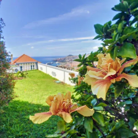 Avocado By Lovelystay *