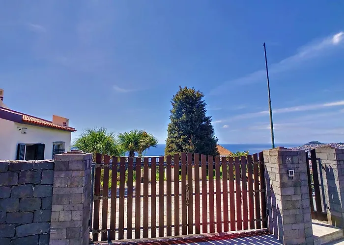 Avocado By Lovelystay * פונשל