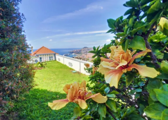 Avocado By Lovelystay *