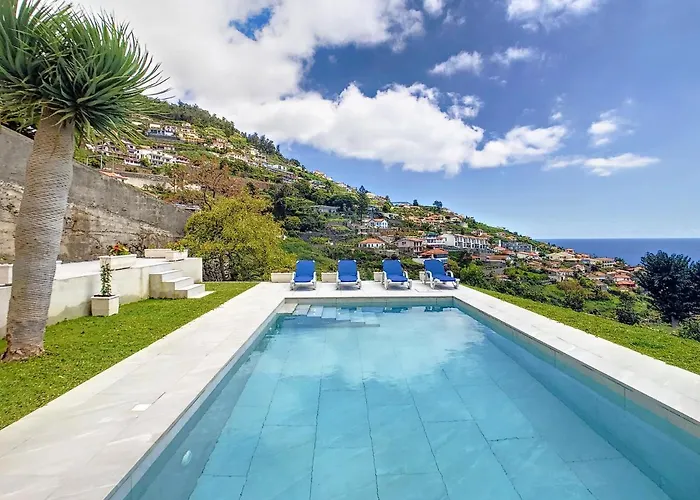 Avocado By Lovelystay * Funchal (Madeira)